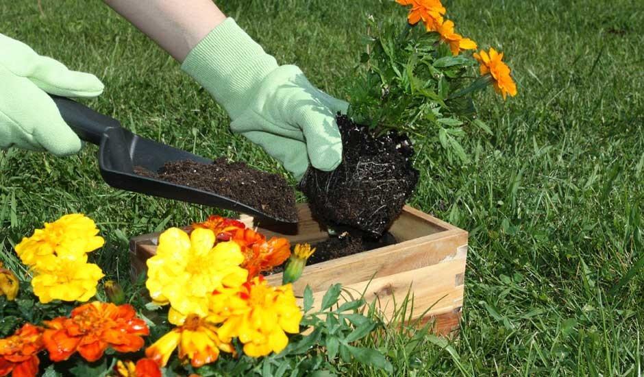 Mantenimiento de zonas verdes y piscinas