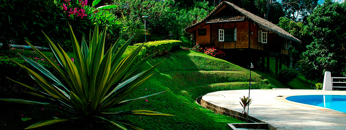 Mantenimientos de zonas verdes y piscinas